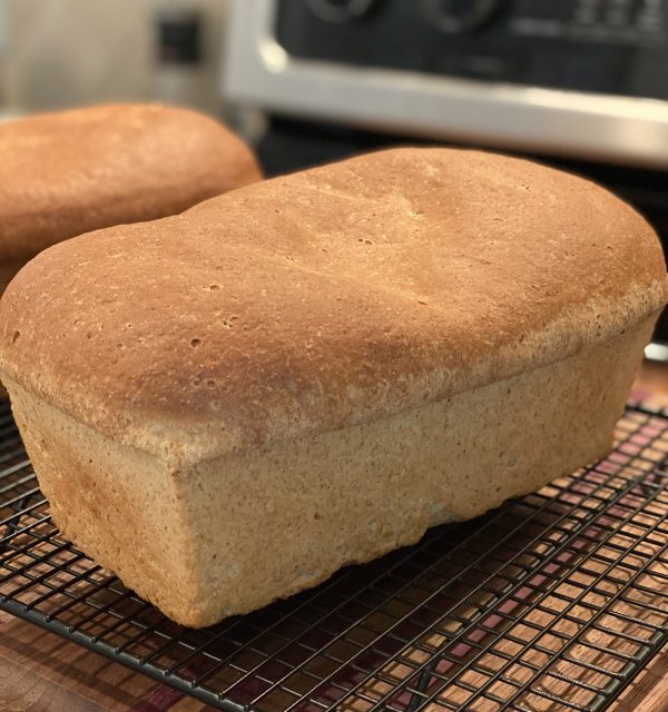 Regenerative Whole-Wheat Bread