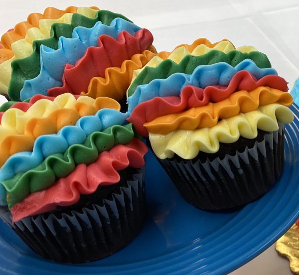 Fiesta Serape Cupcakes - 1/2 Dozen