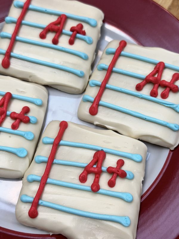 Large Decorated Cookies - Back to School Notebook Paper